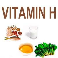 Vitamin H (Biotin)